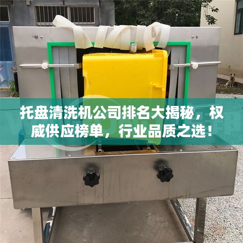托盤(pán)清洗機(jī)公司排名大揭秘，權(quán)威供應(yīng)榜單，行業(yè)品質(zhì)之選！