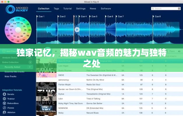獨家記憶，揭秘wav音頻的魅力與獨特之處