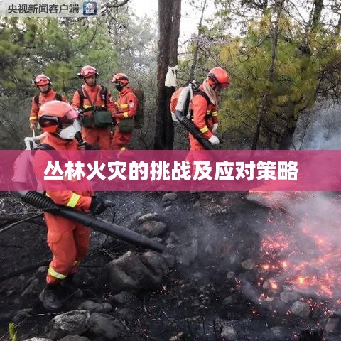 叢林火災(zāi)的挑戰(zhàn)及應(yīng)對策略