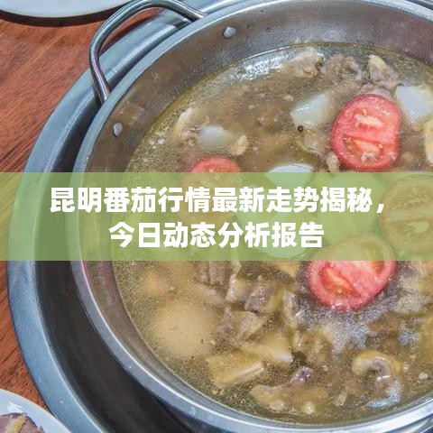 昆明番茄行情最新走勢揭秘，今日動(dòng)態(tài)分析報(bào)告