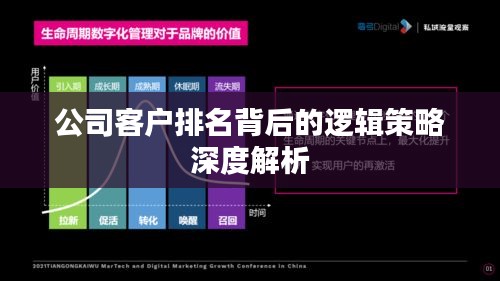 公司客戶排名背后的邏輯策略深度解析
