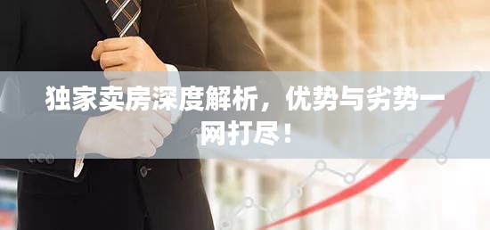 獨(dú)家賣(mài)房深度解析，優(yōu)勢(shì)與劣勢(shì)一網(wǎng)打盡！