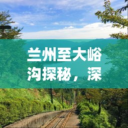 蘭州至大峪溝探秘，深度旅游攻略，暢游自然美景！