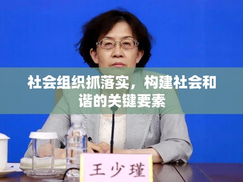社會(huì)組織抓落實(shí)，構(gòu)建社會(huì)和諧的關(guān)鍵要素