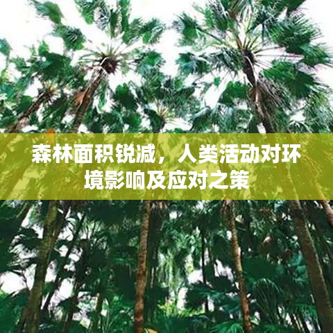 森林面積銳減，人類活動對環(huán)境影響及應(yīng)對之策