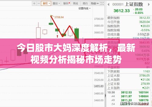 今日股市大媽深度解析，最新視頻分析揭秘市場走勢