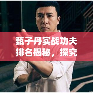 甄子丹實(shí)戰(zhàn)功夫排名揭秘，探究武術(shù)巨星的超凡實(shí)力