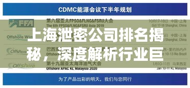上海泄密公司排名揭秘，深度解析行業(yè)巨頭