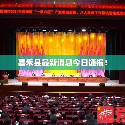 嘉禾縣最新消息今日通報(bào)！