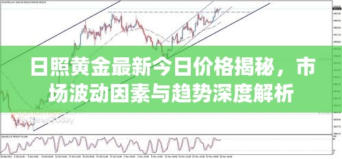 日照黃金最新今日價(jià)格揭秘，市場(chǎng)波動(dòng)因素與趨勢(shì)深度解析