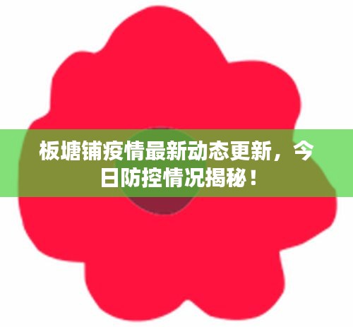板塘鋪疫情最新動(dòng)態(tài)更新，今日防控情況揭秘！