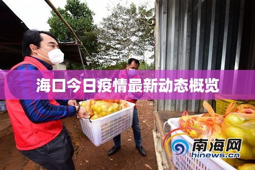 ?？诮袢找咔樽钚聞討B(tài)概覽