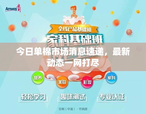 今日單棉市場消息速遞，最新動(dòng)態(tài)一網(wǎng)打盡