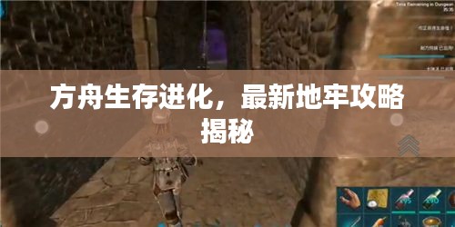 方舟生存進(jìn)化，最新地牢攻略揭秘