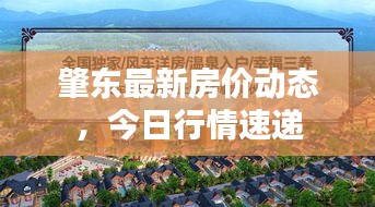 肇東最新房價(jià)動(dòng)態(tài)，今日行情速遞