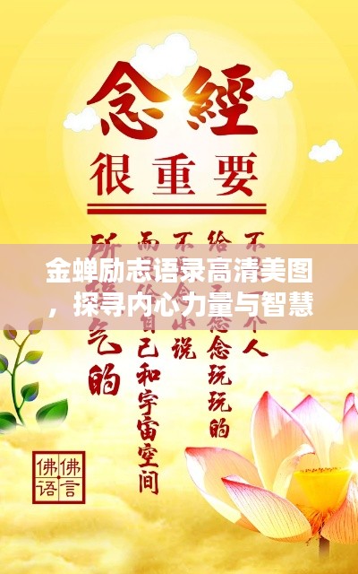 金蟬勵志語錄高清美圖，探尋內(nèi)心力量與智慧，激發(fā)無限潛能！