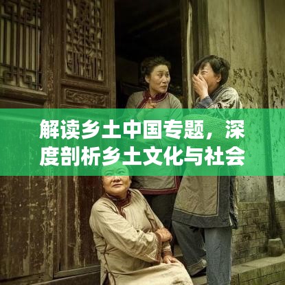 解讀鄉(xiāng)土中國專題，深度剖析鄉(xiāng)土文化與社會根源