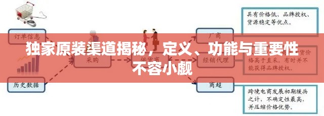 獨(dú)家原裝渠道揭秘，定義、功能與重要性不容小覷