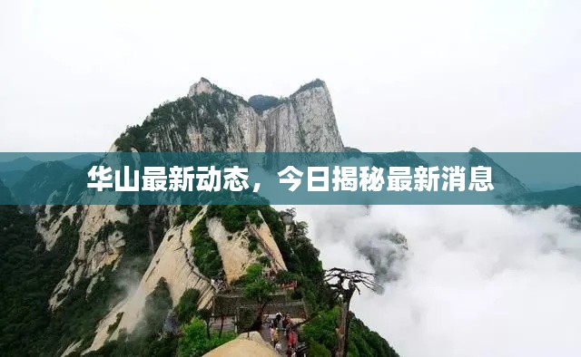 雅人深致 第2頁(yè)