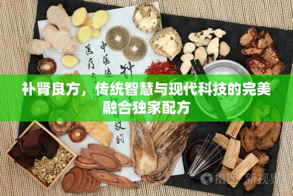 補(bǔ)腎良方，傳統(tǒng)智慧與現(xiàn)代科技的完美融合獨(dú)家配方