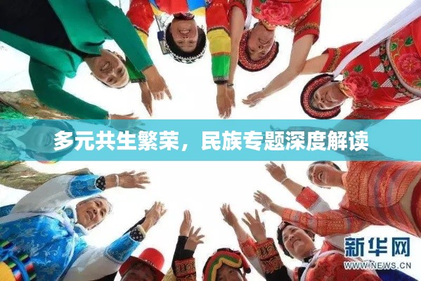 多元共生繁榮，民族專題深度解讀