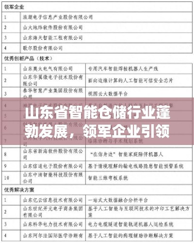 山東省智能倉儲(chǔ)行業(yè)蓬勃發(fā)展，領(lǐng)軍企業(yè)引領(lǐng)潮流榜單揭曉！
