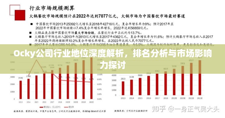 Ocky公司行業(yè)地位深度解析，排名分析與市場(chǎng)影響力探討