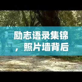 勵(lì)志語(yǔ)錄集錦，照片墻背后的力量