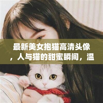 最新美女抱貓高清頭像，人與貓的甜蜜瞬間，溫馨畫面不容錯過