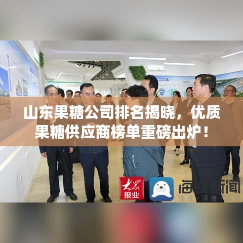 山東果糖公司排名揭曉，優(yōu)質(zhì)果糖供應(yīng)商榜單重磅出爐！