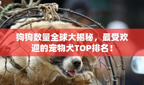 狗狗數(shù)量全球大揭秘，最受歡迎的寵物犬TOP排名！