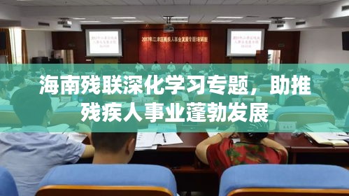 海南殘聯(lián)深化學(xué)習(xí)專題，助推殘疾人事業(yè)蓬勃發(fā)展
