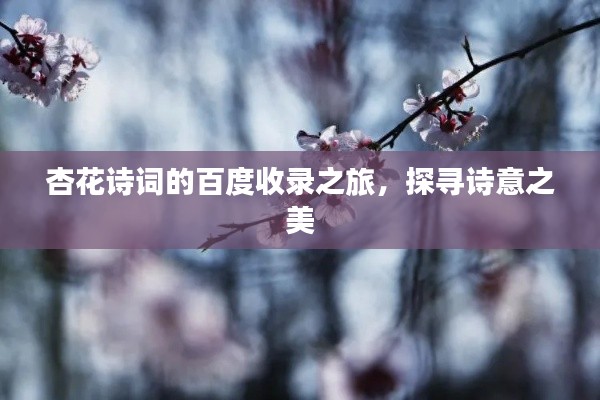 杏花詩詞的百度收錄之旅，探尋詩意之美