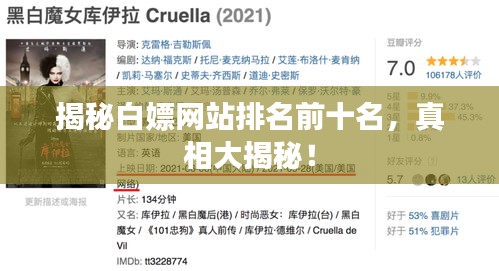 揭秘白嫖網(wǎng)站排名前十名，真相大揭秘！