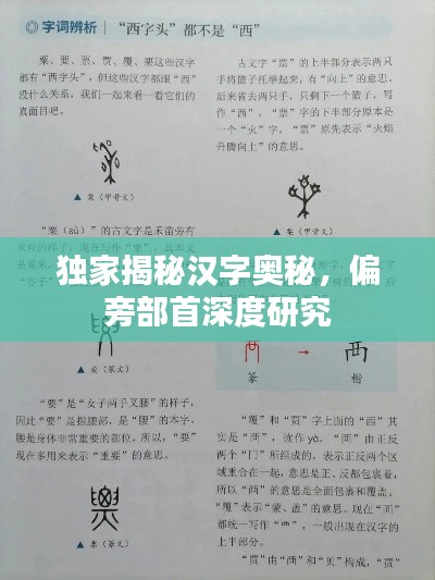 獨(dú)家揭秘漢字奧秘，偏旁部首深度研究