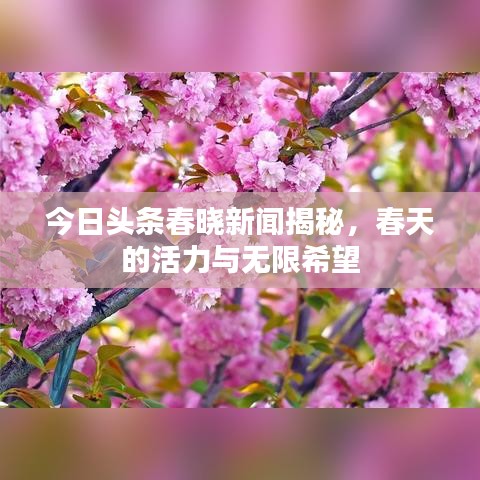 今日頭條春曉新聞揭秘，春天的活力與無限希望
