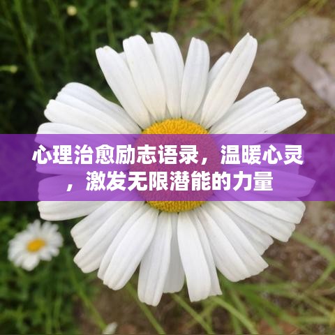 心理治愈勵(lì)志語錄，溫暖心靈，激發(fā)無限潛能的力量