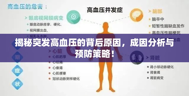 揭秘突發(fā)高血壓的背后原因，成因分析與預(yù)防策略！