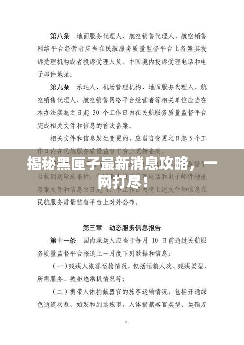 揭秘黑匣子最新消息攻略，一網(wǎng)打盡！