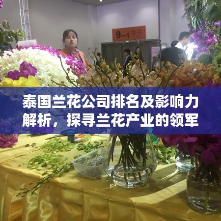 泰國(guó)蘭花公司排名及影響力解析，探尋蘭花產(chǎn)業(yè)的領(lǐng)軍者
