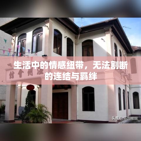 生活中的情感紐帶，無(wú)法割斷的連結(jié)與羈絆