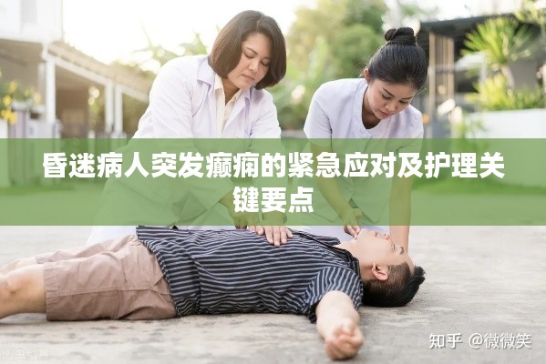 昏迷病人突發(fā)癲癇的緊急應(yīng)對及護(hù)理關(guān)鍵要點(diǎn)