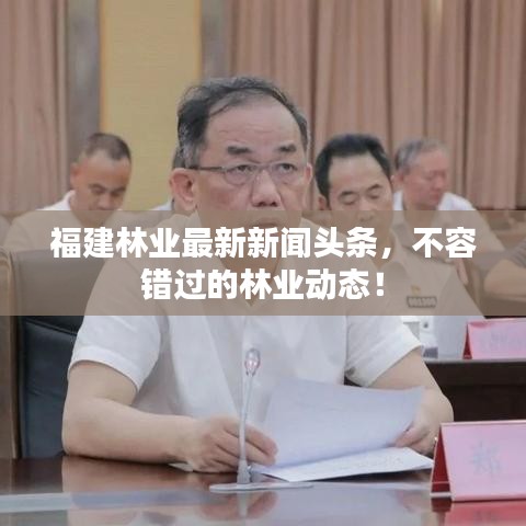 福建林業(yè)最新新聞頭條，不容錯過的林業(yè)動態(tài)！