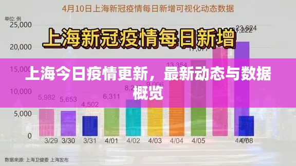 上海今日疫情更新，最新動(dòng)態(tài)與數(shù)據(jù)概覽