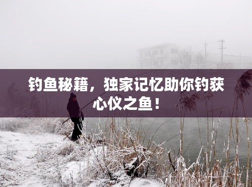 釣魚秘籍，獨家記憶助你釣獲心儀之魚！