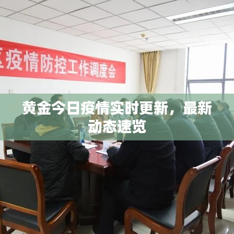 黃金今日疫情實時更新，最新動態(tài)速覽
