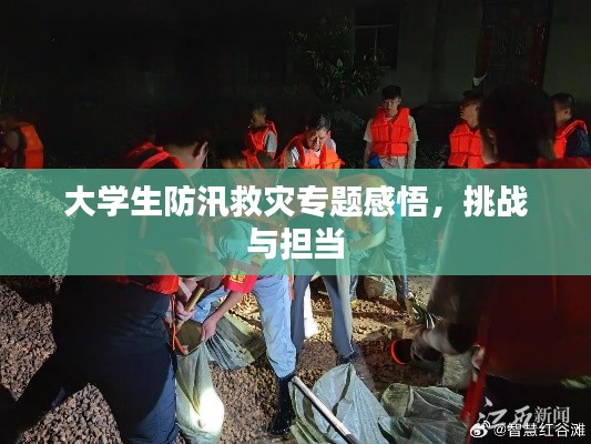 大學生防汛救災專題感悟，挑戰(zhàn)與擔當