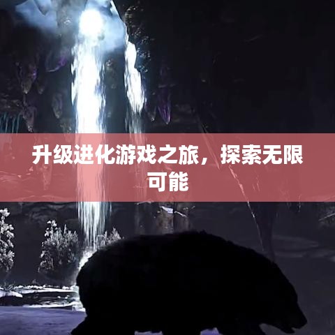 升級進(jìn)化游戲之旅，探索無限可能