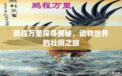 鵬程萬里探尋奧秘，動物世界的壯麗之旅