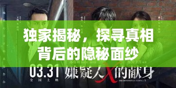 獨(dú)家揭秘，探尋真相背后的隱秘面紗